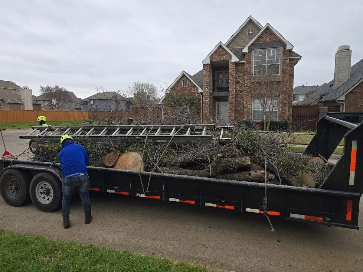 Expert Crown Reduction with proper safety equipment in Brenham